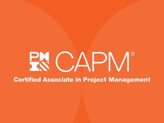 CAPM® Certification Training Course In city | Panelcs Courses