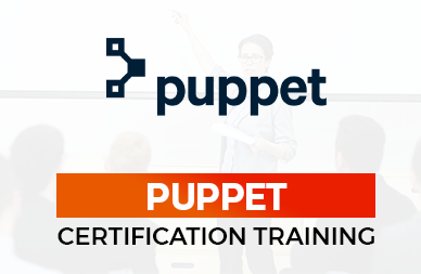 Puppet for Application Deployment Training Course in City | Panelcs Courses